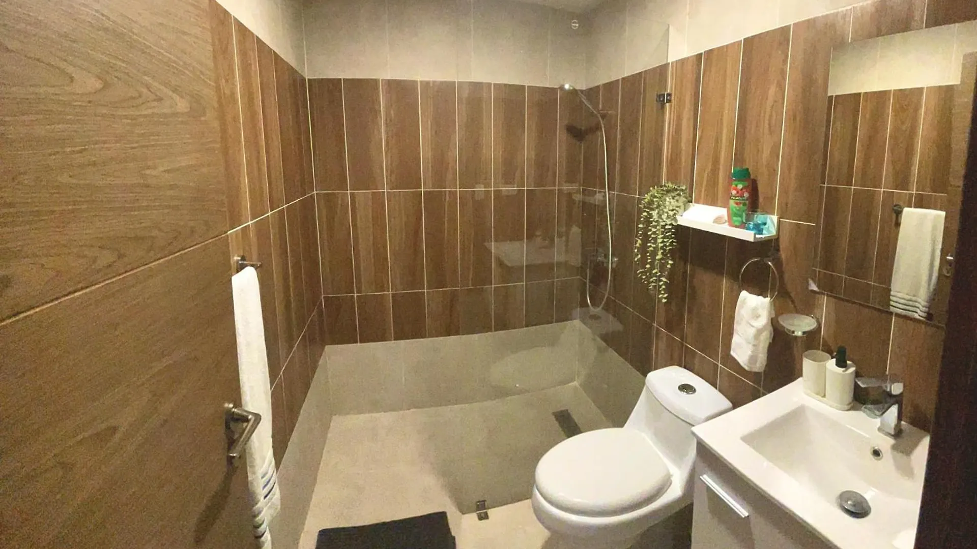 Comfortable Apartmento En El Centro De La Ciudad Con Piscina Y Gym サントドミンゴ 0*,  ドミニカ共和国